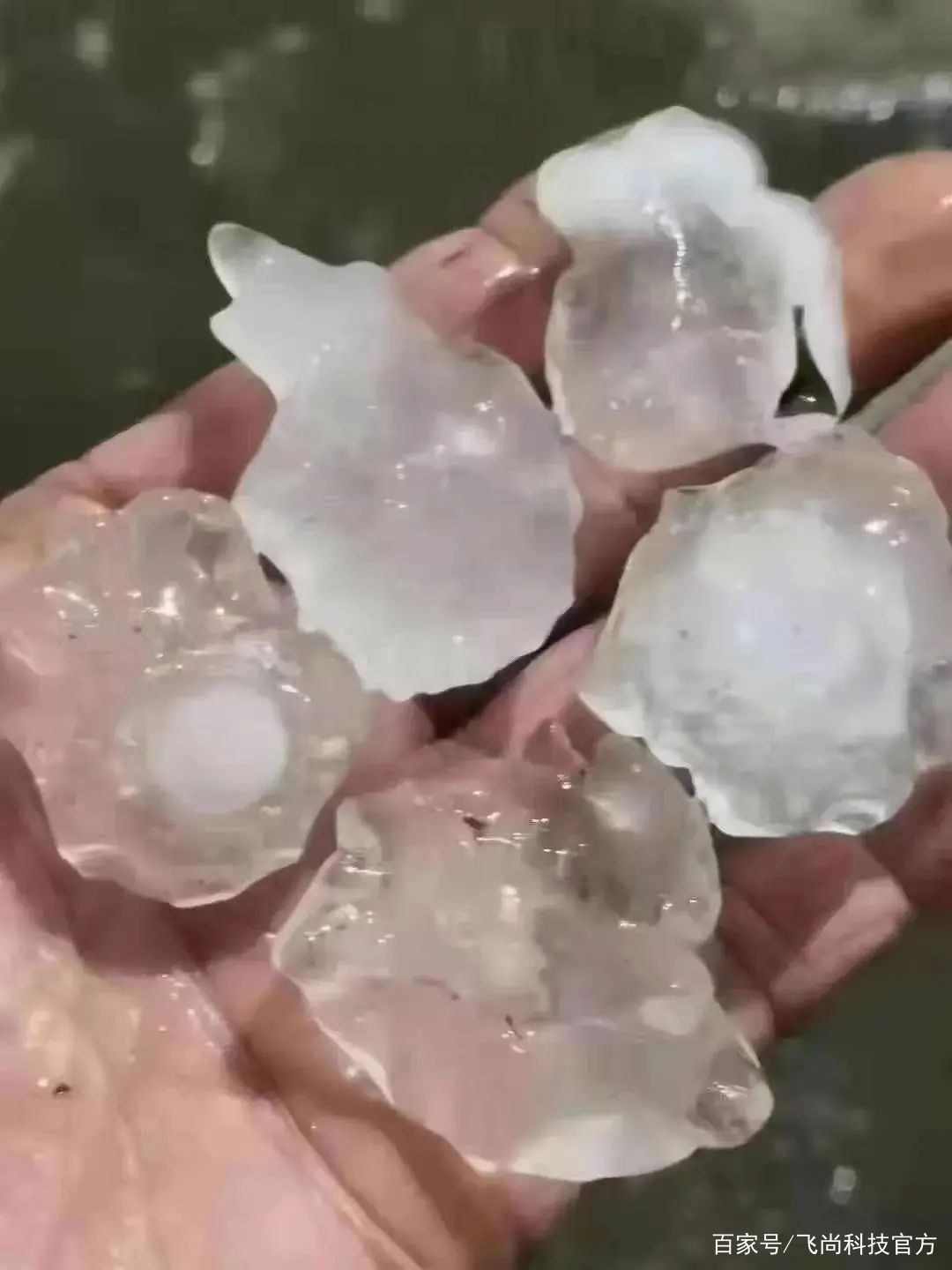 暴雨高发期来袭，面对地质灾害，飞尚在行动~